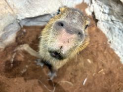 -Zoolung Zoolung动物主题公园(海信广场店)