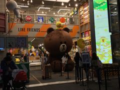 -line friends(明洞旗舰店)