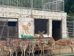 -青藏高原野生动物园