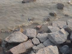 -深圳湾公园(南山区)