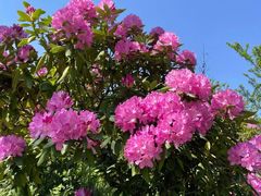 -名花谷生态庄园