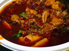 肥肠鸡（小锅）-晓彭肥肠鸡·泡椒鸡火锅(水木天地店)