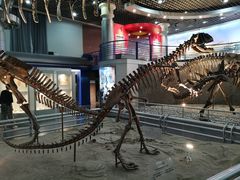 -国家自然博物馆