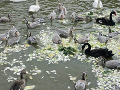 -青藏高原野生动物园