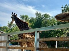 -水上乐园·欢乐世界