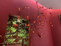-拾宴(汇智国际商业中心店)
