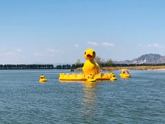 -野鸭湖国家湿地公园