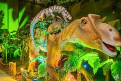 点击看大图 -恐龙探索乐园(磁器口店)