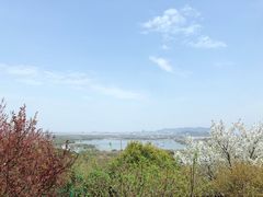 -香雪海