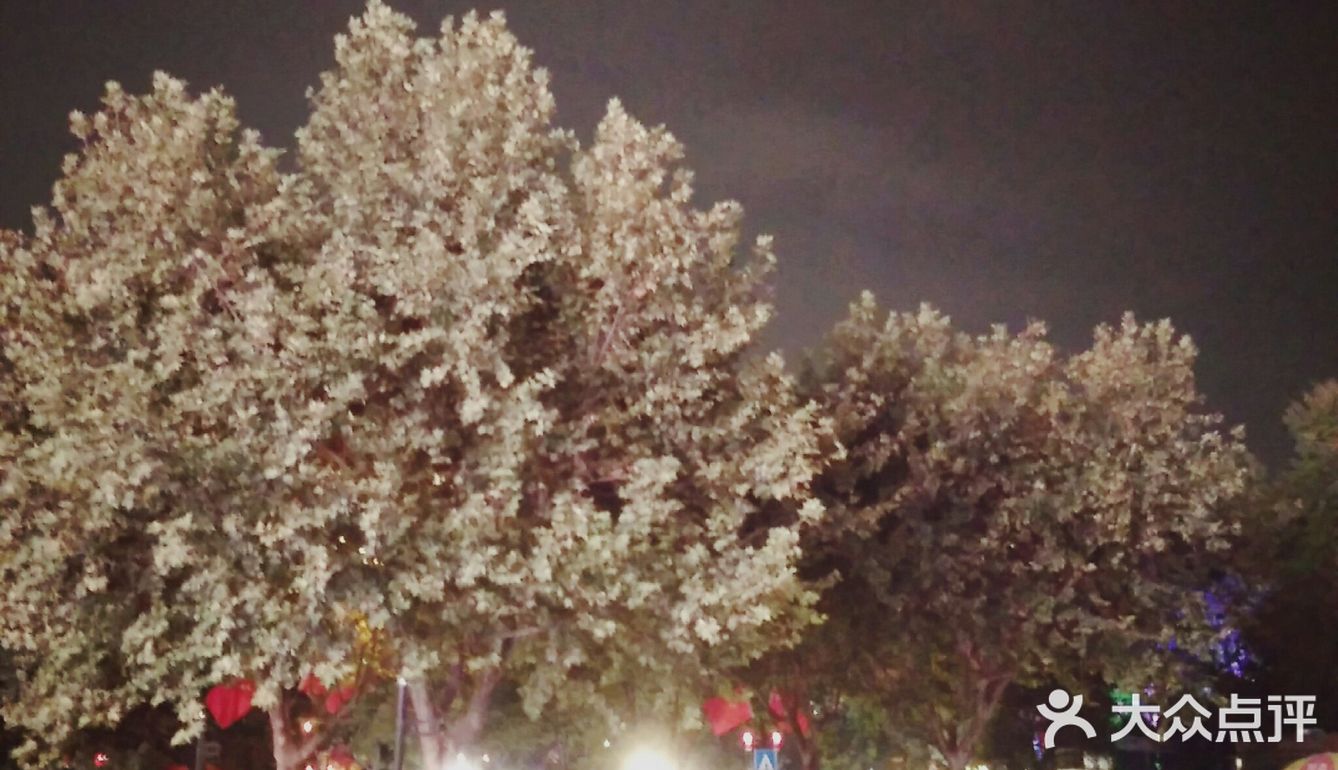 离市区比较近的奥莱