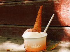 -Dip in Gelato(富民路店)