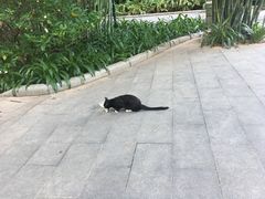 -晓港公园