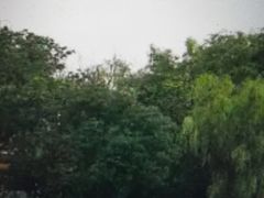 -青龙湖公园