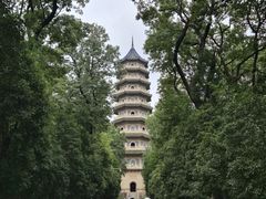 -灵谷景区