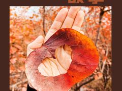 -周口店坡峰岭风景区