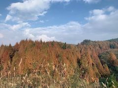 -山王坪喀斯特国家生态公园