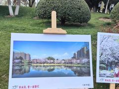 -堤角公园