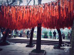 -万达影城(金牛万达广场激光IMAX店)