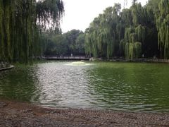 -玲珑塔公园