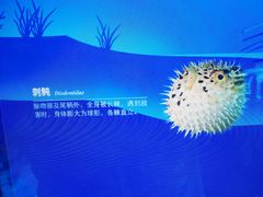 -广州海洋馆