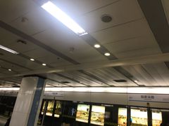 -陆家浜路(地铁站)