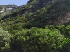 -北京上方山国家森林公园