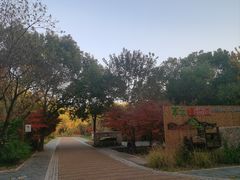 -同里国家湿地公园