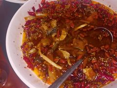 -羊门客在·烤盐池滩羊·川菜