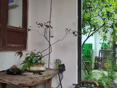 -植觉