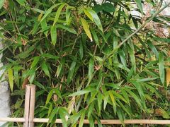 -终南山南五台景区