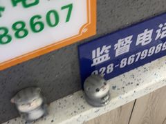 -半岛宠物医院24小时(白果林店)