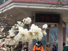 -广州市流溪河国家森林公园