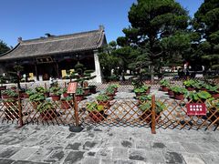 -大慈恩寺(大雁塔)