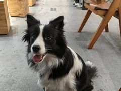 -亮雅轩图文快印连锁24小时(百子湾苹果社区店)