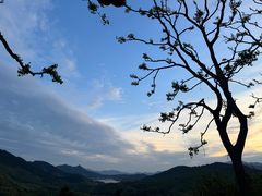 -塔川景区