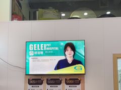 -格蕾宠物医院24H·猫科·肿瘤科·骨科中心(福州总院)