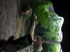 河川生态园-河川生态园