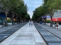 -杨氏橘红(前门大街店)