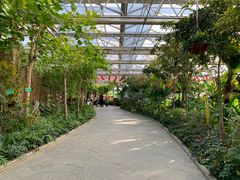 -南宫五洲植物乐园