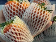 -道里菜市场