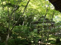 -常寂光寺