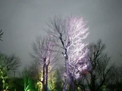 -秀丽东方