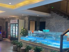 -饭怕鱼(阳光100店)
