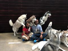 -TrueLove @ Neverland (Husky Cafe)