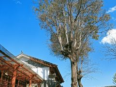 -大理文庙(大理古城)