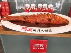 -阿五黄河大鲤鱼(英协路店)