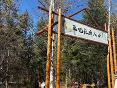 -汤旺河林海奇石景区