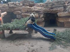 -石家庄市动物园