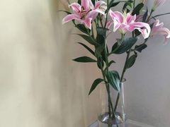 -Dough&Joe团憩(瑞虹天地月亮湾店)