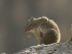 -北京清河镇农副产品交易市场中心